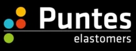 Gaucho Puntes